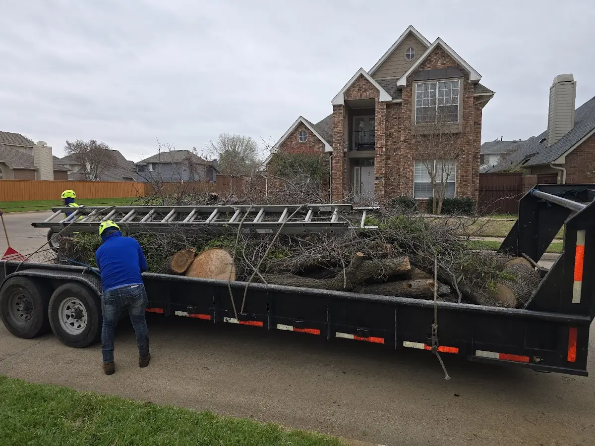 Expert Tree Fertilization with proper safety equipment in Sherburne
